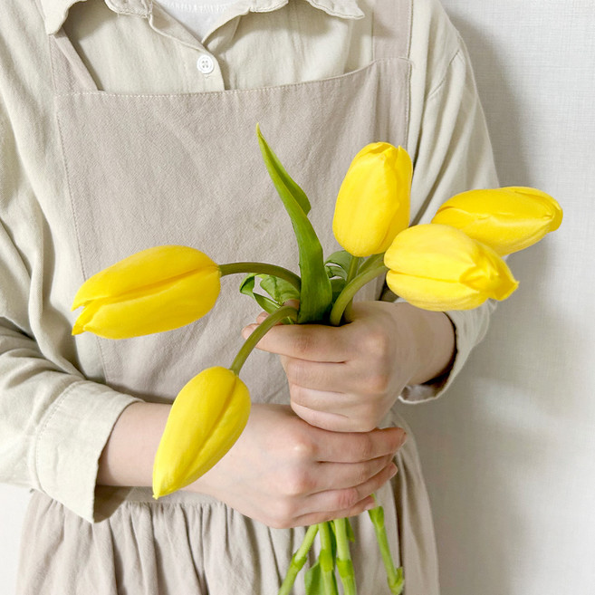 코코도르팜 생화 튤립 5대, 옐로우