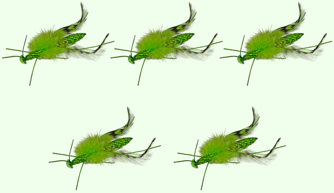 펫모닝 고양이 리얼버그 사마귀 장난감 리필, 초록, 5개