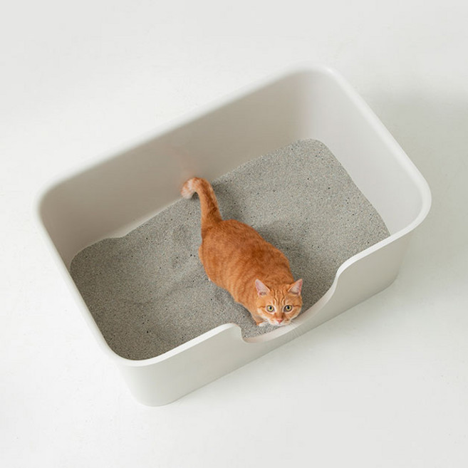 DUIT 푸푸박스 고양이 화장실, 화이트, 1개