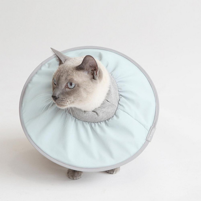 PET IN BEAUTY 寵物零感頸圈, 1個, 薄荷綠