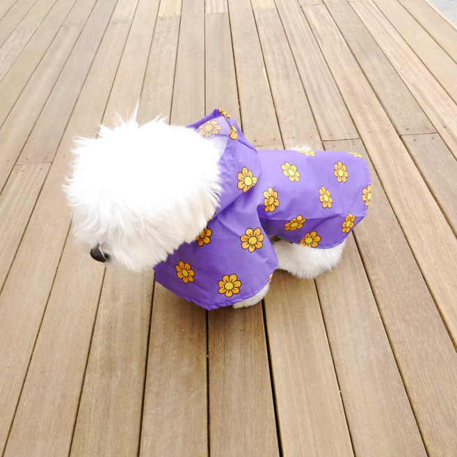 디자인사노 반려동물 플라워 망토 우비, 퍼플, 1개