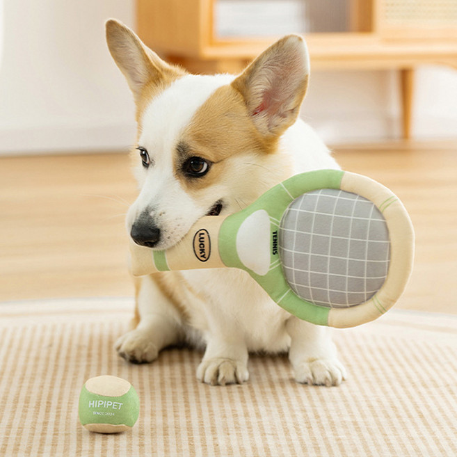 퍼피드림 강아지 테니스 놀이 장난감 세트, 그린, 1세트