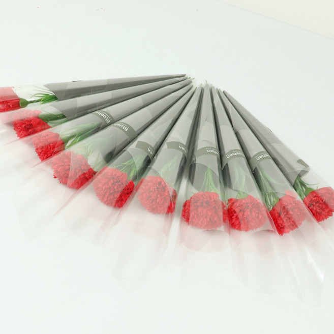 블뤼엔 모두드림 카네이션10p, 레드