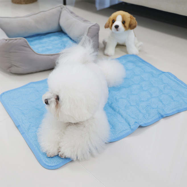 마이또 반려동물 쿨매트, 스카이블루, 1개