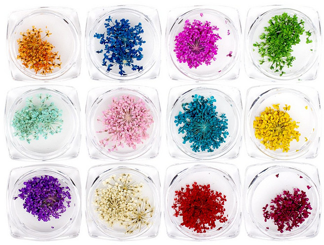 젤로젤로 생화글리터 아트 네일 드라이플라워 생화 12종 세트, 1개, 혼합색상