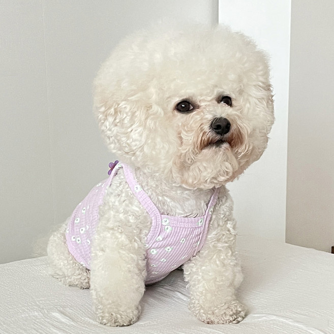 바이담수미 강아지 스마일 꽃나시, 보라, 1개