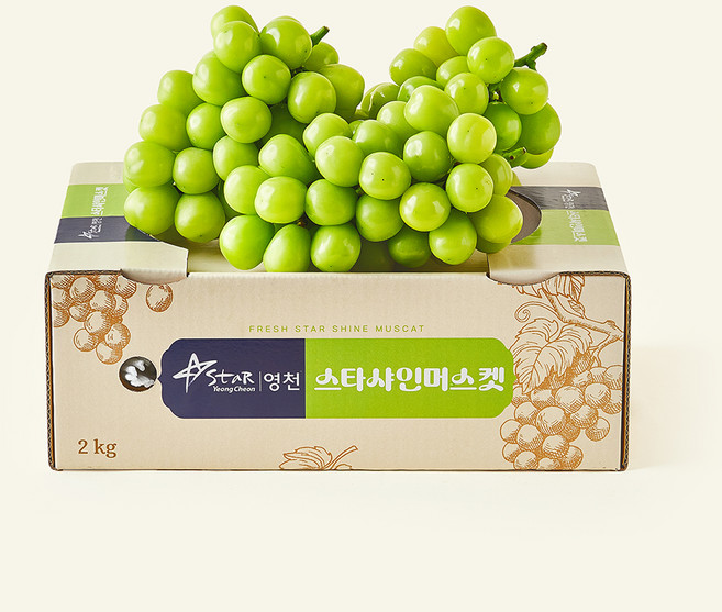 농협 영천 샤인머스캣, 1개, 2kg