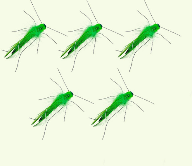 펫모닝 고양이 리얼버그 여치 리필토이, 그린, 5개