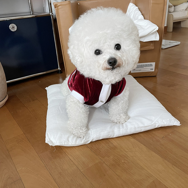 바이담수미 강아지 폼폼이 산타후드, 레드, 1개