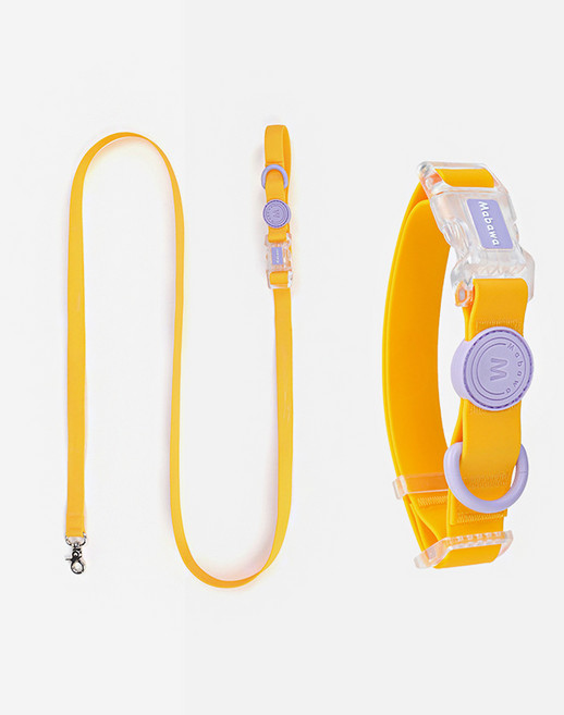 파스텔펫 반려동물 컬러 방수 목줄 + 리드줄 세트, 옐로우, 1세트