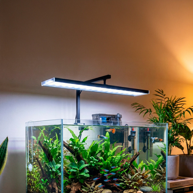 모비딕 스텔라 아쿠아 블랙에디션 풀스펙트럼 WRGB 열대어 알풀 수초 금붕어 어항 조명 MU-600E, 1개
