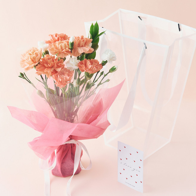 농업회사법인 주식회사 코코도르팜 생화 카네이션 보자기 코랄 어버이날 스승의날 선물 꽃다발 + 메세지카드 세트 + 쇼핑백, 혼합색상