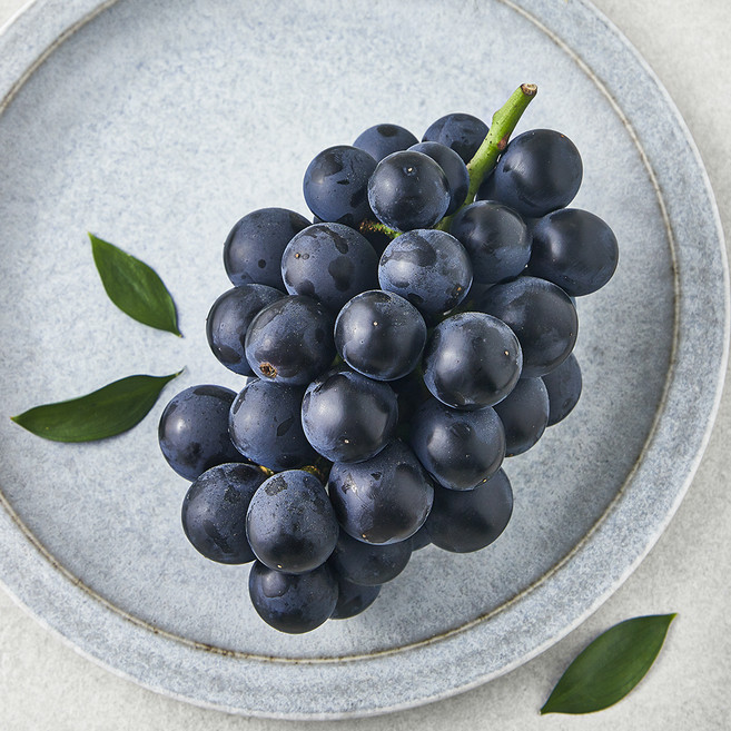 영길팜 당도선별 거봉, 500g, 1개