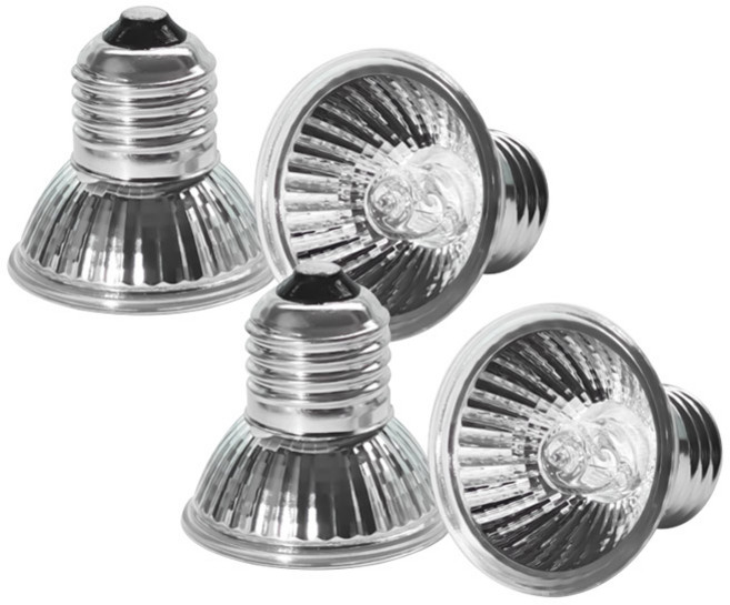 아쿠아비 유브이 파충류용 할로겐 램프 50W, 혼합색상, 4개