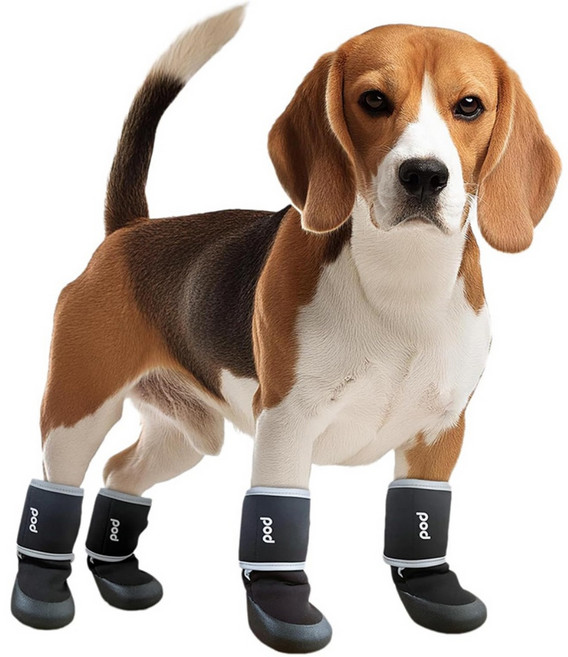 Pets Family 反光線的寵物鞋4件組, 黑色, 1套