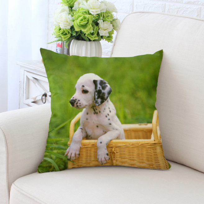 플로즈 퍼피 커버쿠션