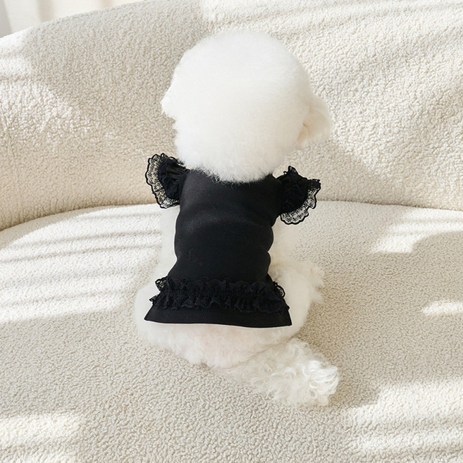 아티펫 반려동물 숄더 레이스 터틀넥 티셔츠, 블랙, 1개