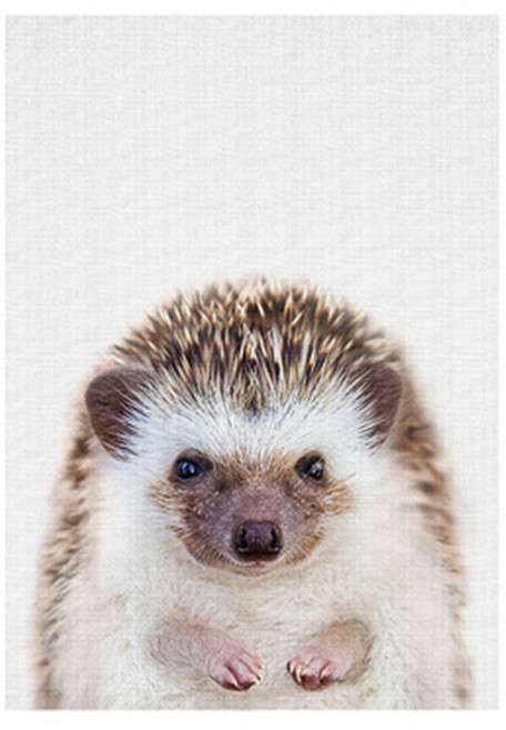 아기동물 실사화 배전함 일러스트 패브릭 포스터 고슴도치