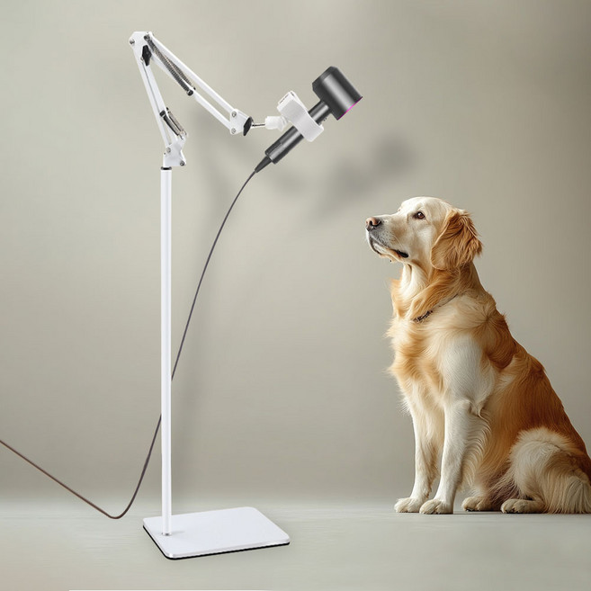 딩동펫 반려동물 플로어 각도조절 드라이기 스탠드 거치대 대형, 화이트, 1개
