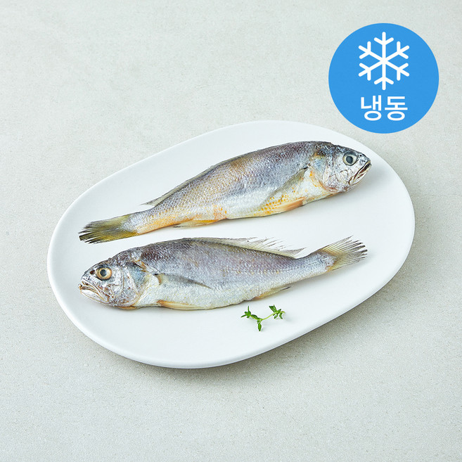 다미원 영광 법성포 참굴비 2미 (냉동), 1개, 180g