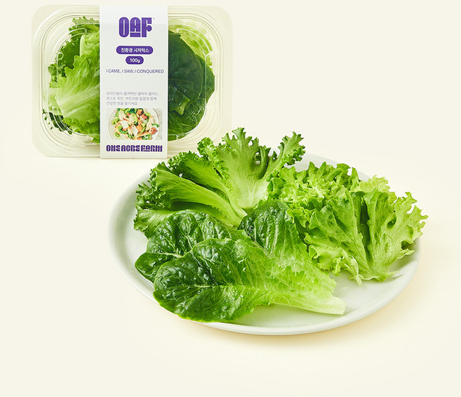 원에이커팜 무농약 인증 시저믹스, 100g, 1개, 1개입