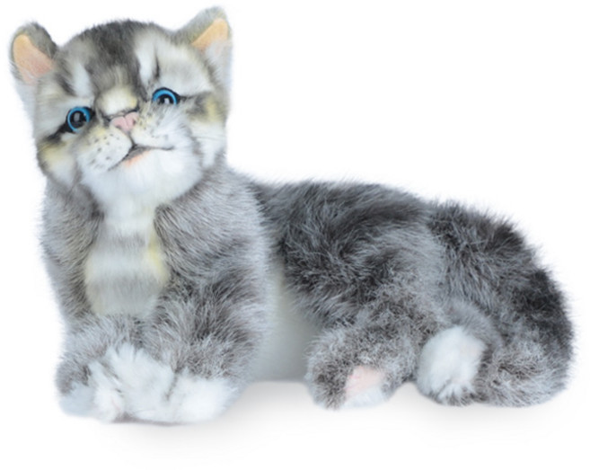 아기고양이 인형 7978 20cm, 15cm, 회색, 1개