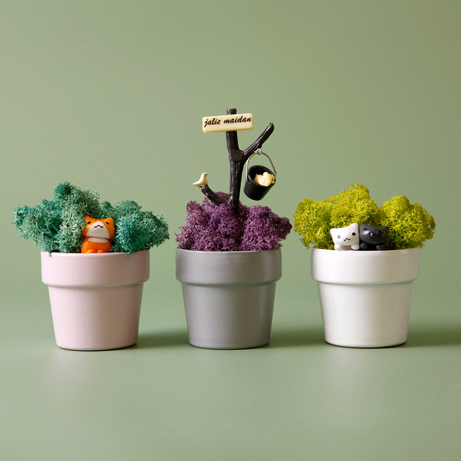 Morningscent 斯堪地亞苔蘚 Viapot 苔蘚 室內空氣淨化 迷你花盆 貓咪 2款 + 水桶 小狗 1款 1組, 1套