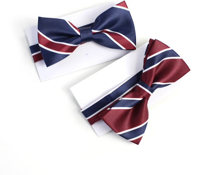 남아용 나비 보타이 2종 세트