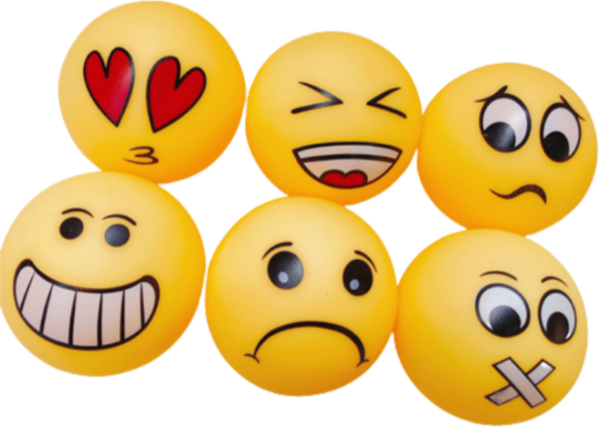 하이제이비 강아지 장난감 볼 6종 세트, 혼합색상, 1세트