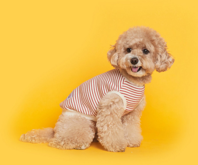 플로트 강아지 데일리 퍼피 민소매 티셔츠, 레드, 1개