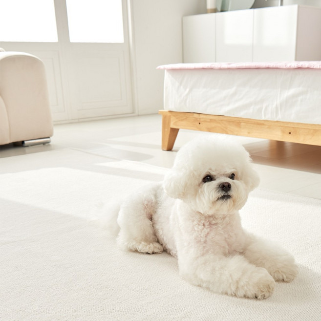 젤란하우스 로망스 이지케어 셔닐 러그 소파패드