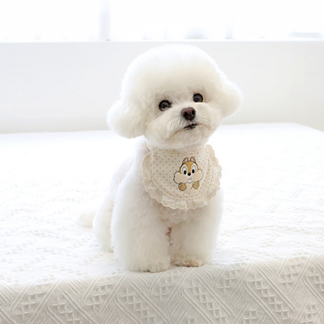 이츠독 강아지 디즈니 오가닉 칩앤데일 턱받이, 도트, 1개