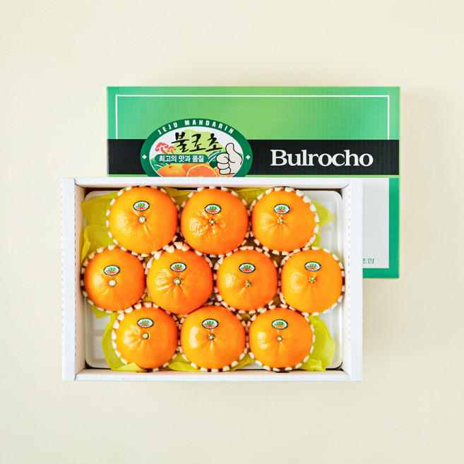 프리미엄 불로초 천혜향, 3kg, 1개