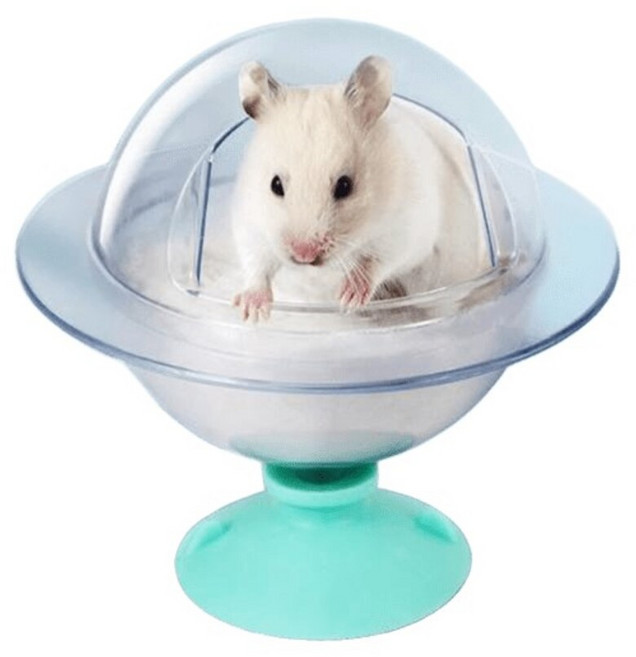 Pet STAR 寵物星樂園 小寵星球浴室, 1個, 綠色