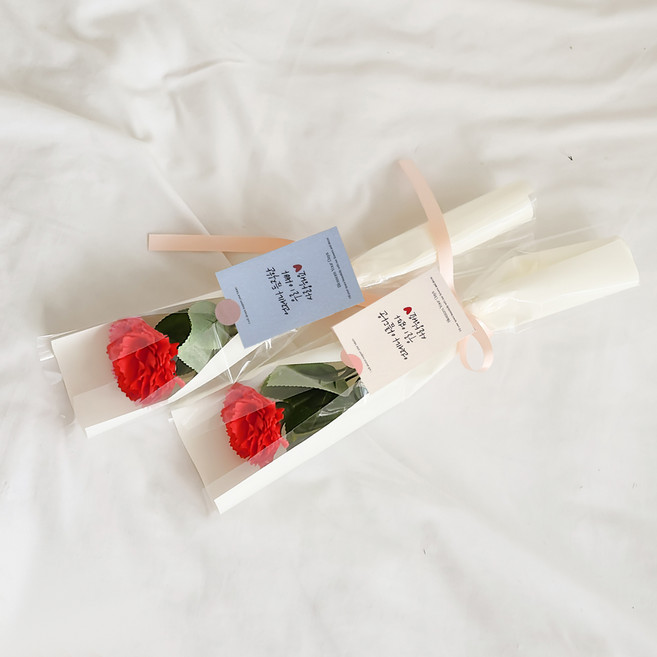 아스파시아 플르 카네이션 메시지 비누꽃 한송이 꽃다발 2종 세트, 레드(우리엄마 + 우리아빠), 1세트