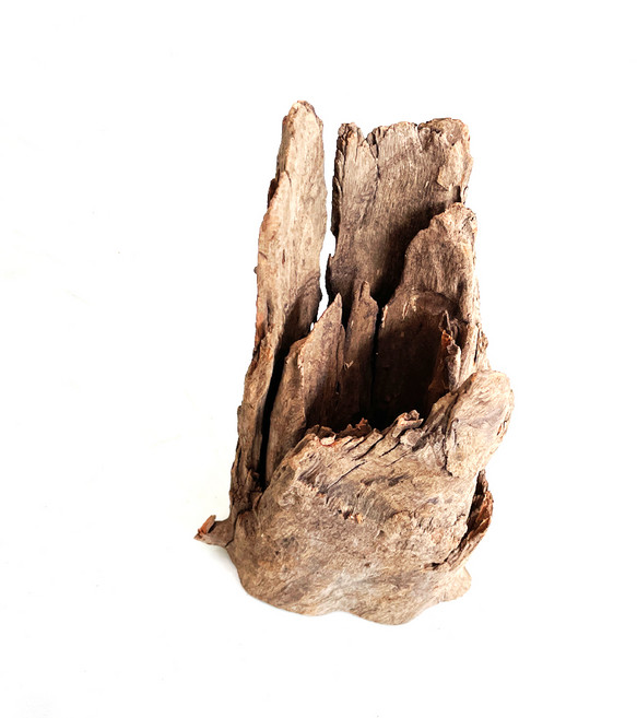 모비딕 그루터기 유목 수조장식, 1개