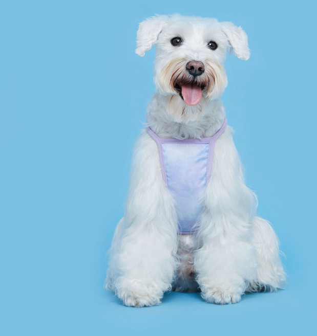 플로트 강아지 블렌드 크롭 나시, 바이올렛, 1개