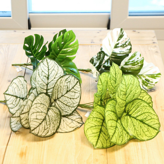 JOART 室內裝飾人造葉片人造植物裝飾彩葉芋2種 + 龜背芋2種套組 30cm, 1套, 混合色