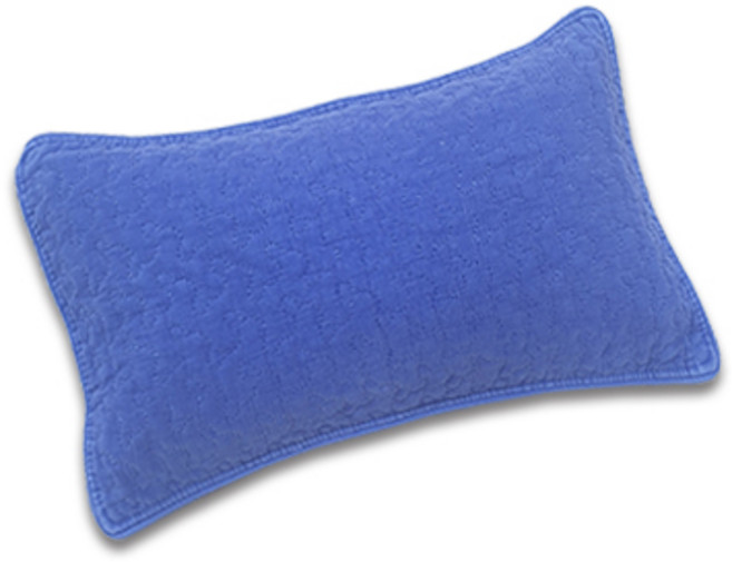 친환경편백아트 프리미엄 편백 큐브칩 베이직 베개, 연파랑(베개커버), 랜덤발송(속커버), 1개