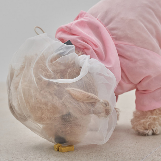 도그아이 강아지 산책 해충방지 페이스커버 L, 화이트, 1개