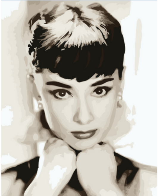 모모픽스페인팅 DIY 일러스트그리기 세트 40 x 50 cm, 오드리 햅번, 1개