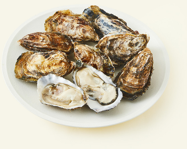 아라보감 알이 꽉찬 550일 생물 석화 (냉장), 2kg, 1개