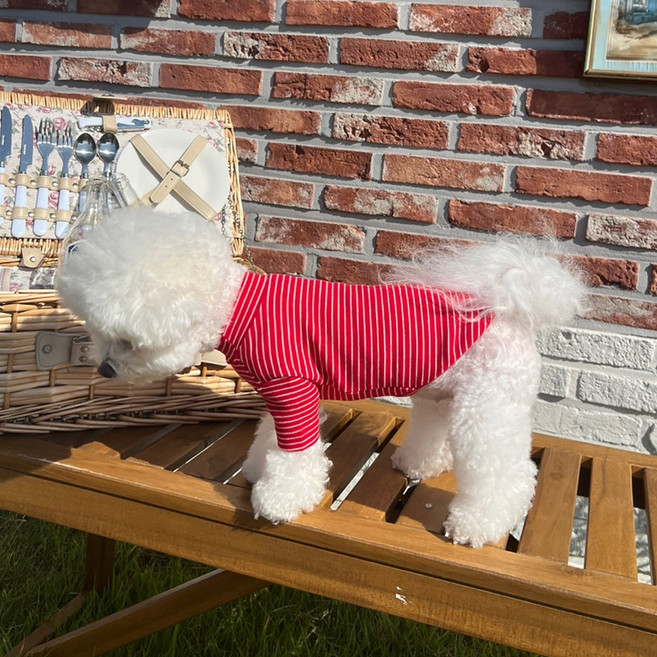 매그독 반려동물 트리플 티셔츠, 레드, 1개