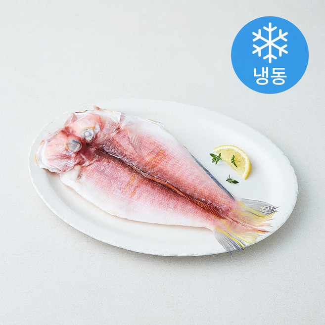 중매인신훈식 제주 손질 맑은소금 참옥돔(냉동), 200g, 1개