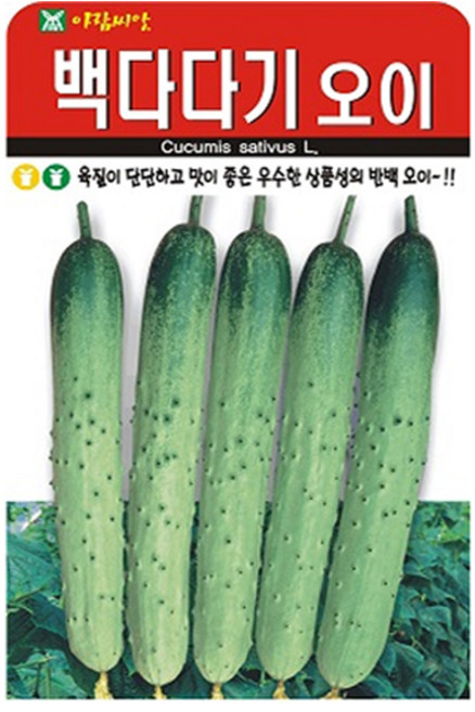 아람종묘 백다다기 오이 씨앗 50p, 1개