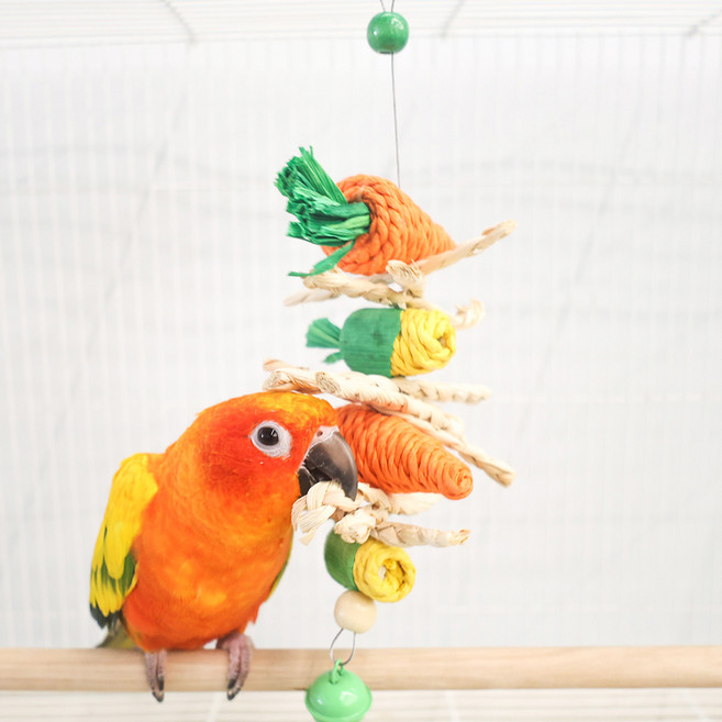 앵무새 바니바니 당근 옥수수, 혼합색상, 1개