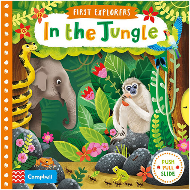 In the Jungle, FirstExplorers