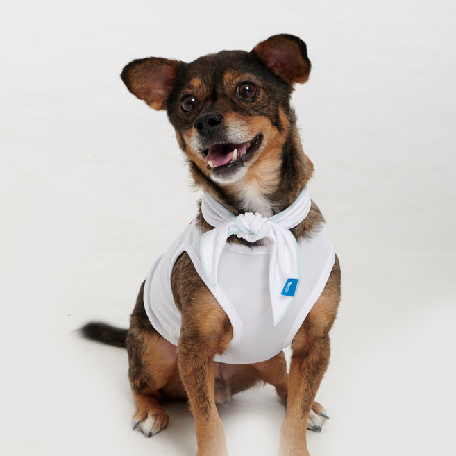 BYC 반려동물 보디드라이 쿨스카프 ODB0004, WH(화이트)/L, 1개