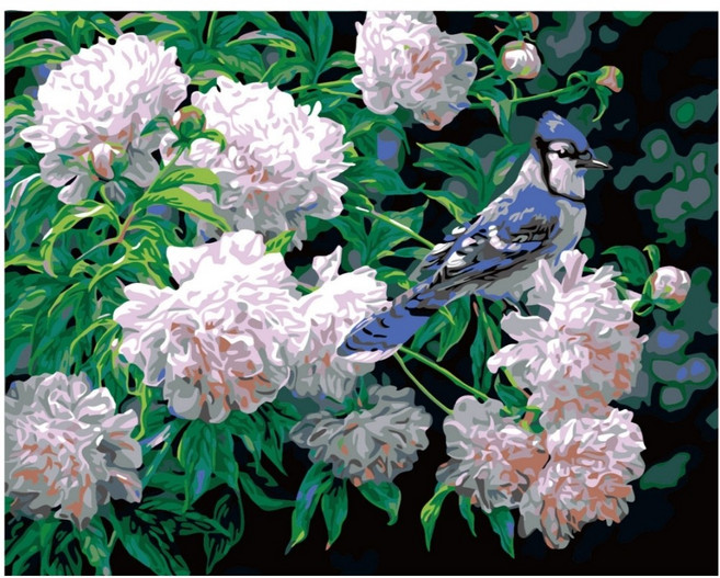 모모픽스페인팅 DIY 명화 그리기 세트 40 x 50 cm, 연분홍모란목단꽃, 1세트