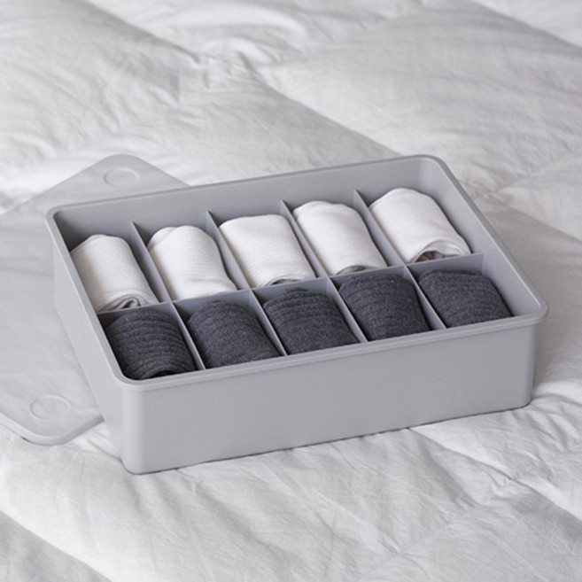 이즈리빙 칸칸칸 속옷 정리함, 10칸, 그레이 + 반투명뚜껑, 1개